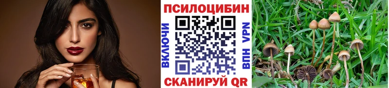 Купить где  Бологое  Псилоцибиновые грибы ЛСД 