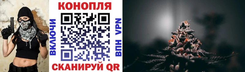 Купить закладки  Бологое  Канабис AK-47 